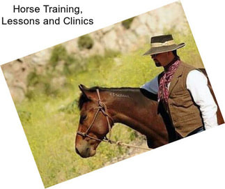 Horse Training, Lessons and Clinics