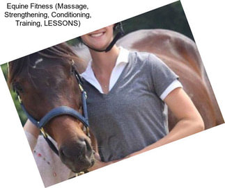 Equine Fitness (Massage, Strengthening, Conditioning, Training, LESSONS)