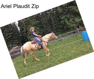 Ariel Plaudit Zip