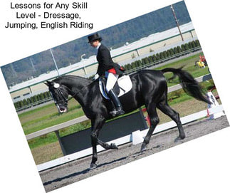 Lessons for Any Skill Level - Dressage, Jumping, English Riding