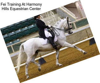 Fei Training At Harmony Hills Equestrian Center