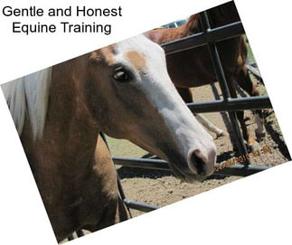 Gentle and Honest Equine Training