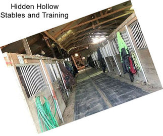 Hidden Hollow Stables and Training