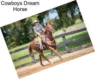 Cowboys Dream Horse