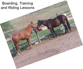 Boarding, Training and Riding Lessons