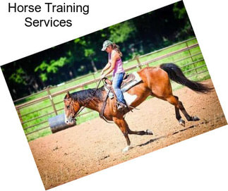 Horse Training Services