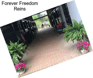 Forever Freedom Reins