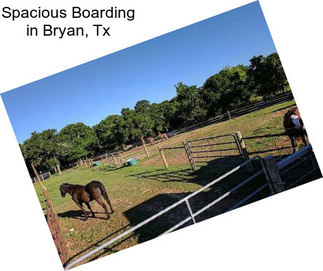 Spacious Boarding in Bryan, Tx