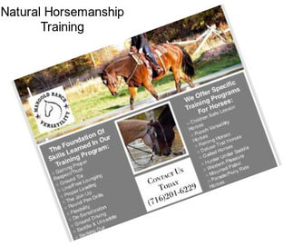 Natural Horsemanship Training