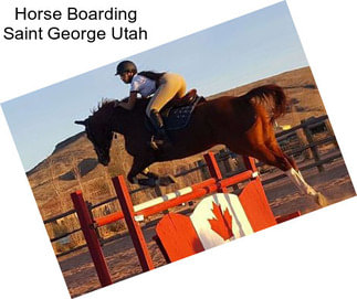 Horse Boarding Saint George Utah