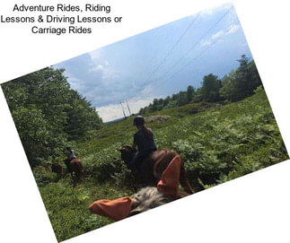 Adventure Rides, Riding Lessons & Driving Lessons or Carriage Rides