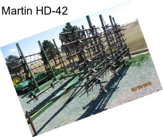 Martin HD-42