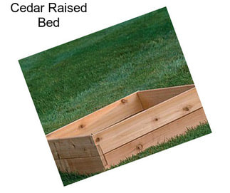 Cedar Raised Bed