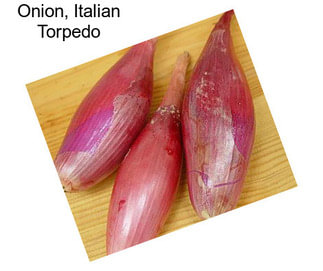 Onion, Italian Torpedo