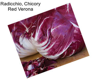 Radicchio, Chicory Red Verona