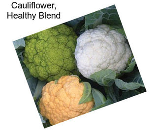 Cauliflower, Healthy Blend
