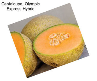 Cantaloupe, Olympic Express Hybrid