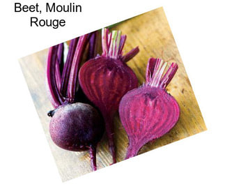 Beet, Moulin Rouge