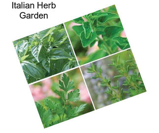 Italian Herb Garden