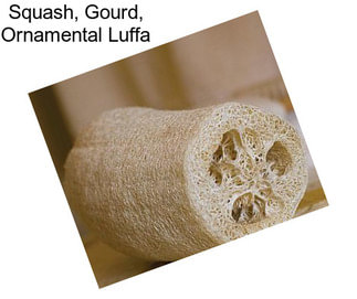 Squash, Gourd, Ornamental Luffa