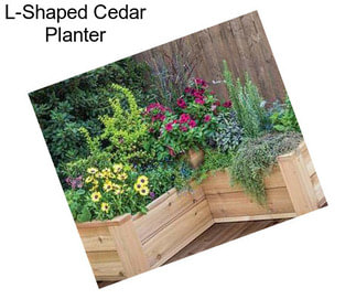 L-Shaped Cedar Planter