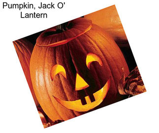 Pumpkin, Jack O\' Lantern