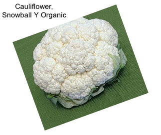 Cauliflower, Snowball Y Organic