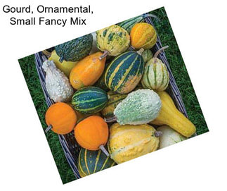 Gourd, Ornamental, Small Fancy Mix