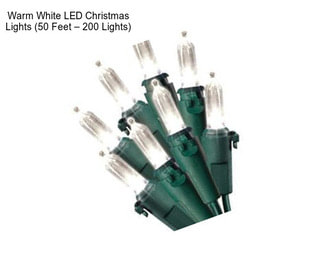 Warm White LED Christmas Lights (50 Feet – 200 Lights)