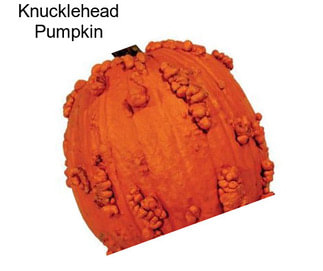 Knucklehead Pumpkin