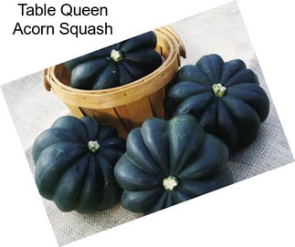 Table Queen Acorn Squash