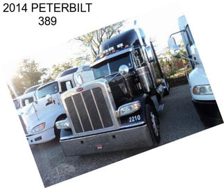 2014 PETERBILT 389