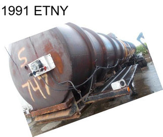 1991 ETNY