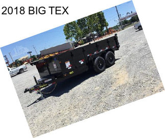 2018 BIG TEX