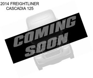 2014 FREIGHTLINER CASCADIA 125