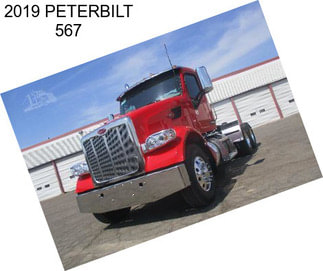 2019 PETERBILT 567