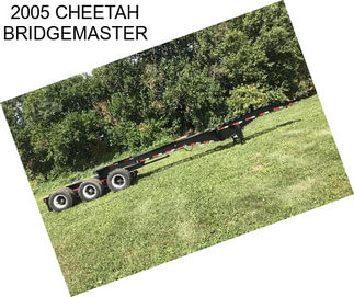 2005 CHEETAH BRIDGEMASTER