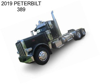 2019 PETERBILT 389