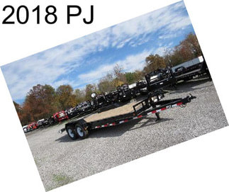 2018 PJ