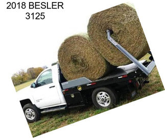 2018 BESLER 3125