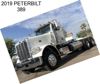 2019 PETERBILT 389