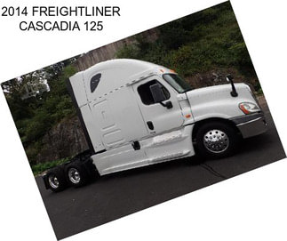 2014 FREIGHTLINER CASCADIA 125