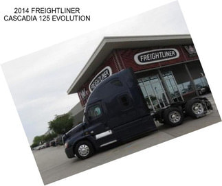 2014 FREIGHTLINER CASCADIA 125 EVOLUTION