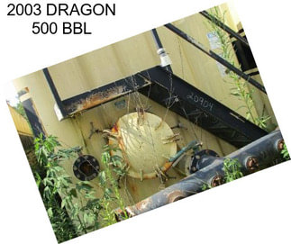 2003 DRAGON 500 BBL