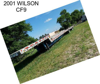2001 WILSON CF9
