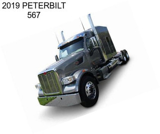 2019 PETERBILT 567