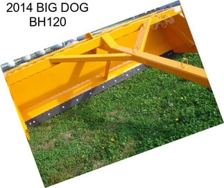 2014 BIG DOG BH120