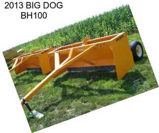 2013 BIG DOG BH100