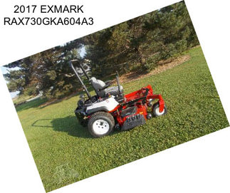 2017 EXMARK RAX730GKA604A3