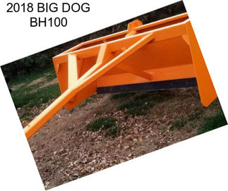 2018 BIG DOG BH100